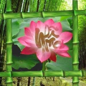 Meet your Posher, Le